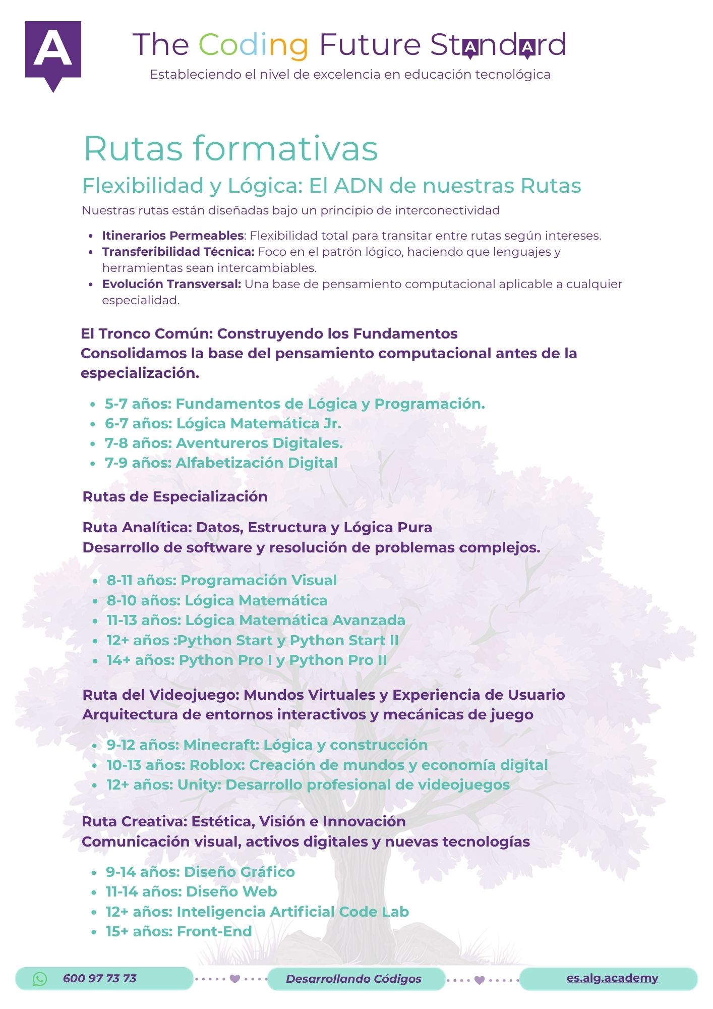 Resumen de rutas formativas Algorithmics