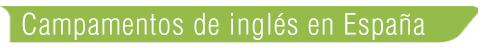 Campamentos inglés España Newlink