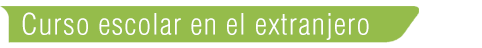 Curso Escolar Extranjero Newlink