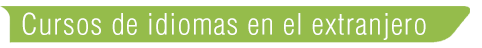 Cursos Idiomas Extranjero Newlink