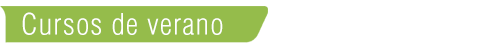 Cursos Verano Newlink