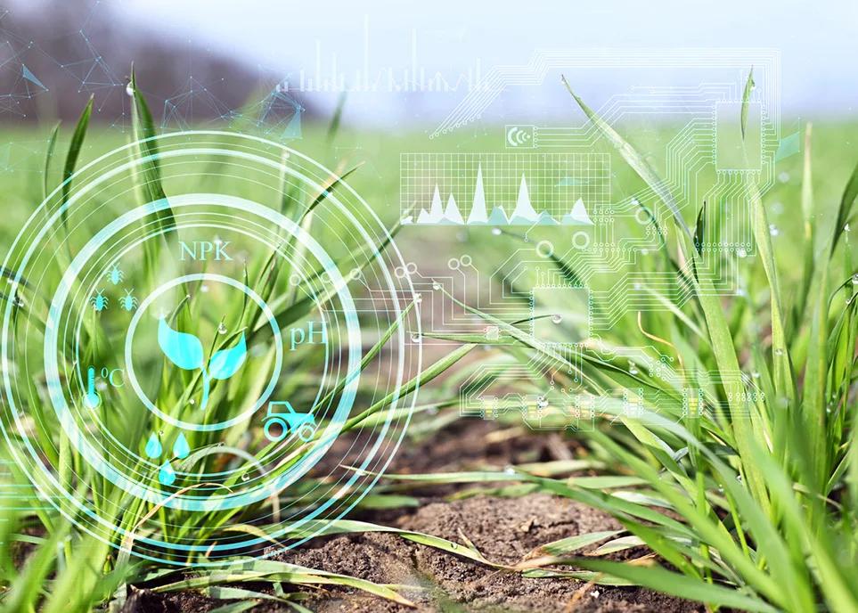 La Inteligencia Artificial ayuda a interpretar datos, pero sigue siendo necesario comprender los procesos que hay detrás