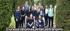 Cursos idiomas extranjero Newlink